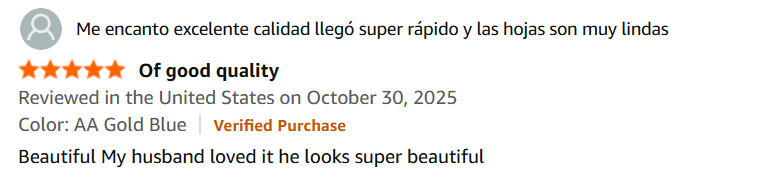 Screenshot 2025-11-22 202248